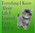 CUTE MOTTO